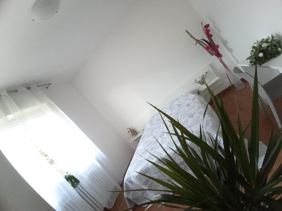 Canzo Appartamento L'Airone Cenerino מראה חיצוני תמונה